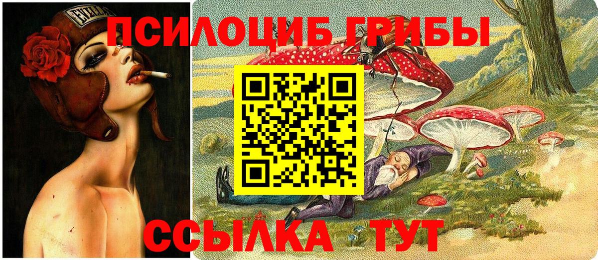 магазин  наркотиков  Вход с VPN  Касимов  Псилоцибиновые грибы Cubensis 