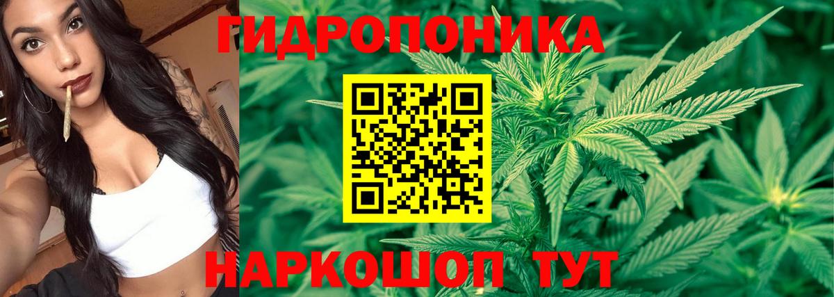 Марихуана OG Kush Касимов